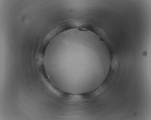 X0000110970476200907022249