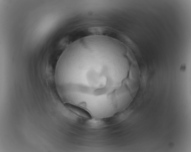 X0000110970477200907022249