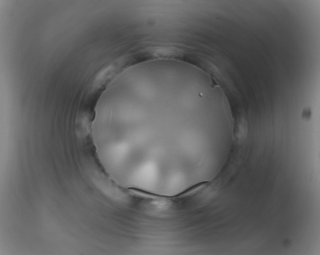 X0000110970478200907022249