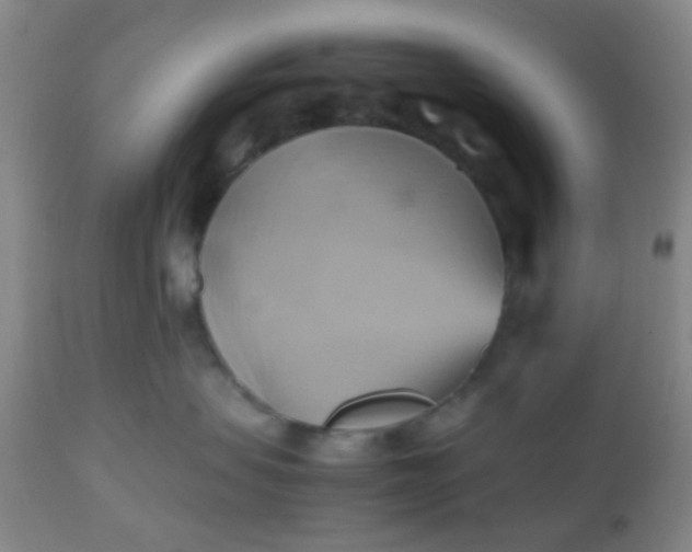 X0000110970479200907022249