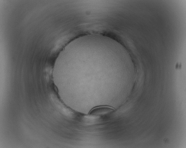 X0000110970480200907022249