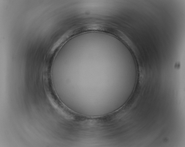 X0000110970482200907022248