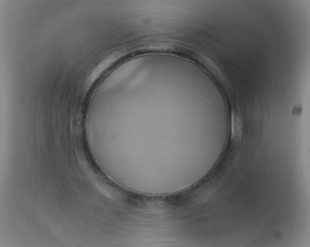 X0000110970483200907022248