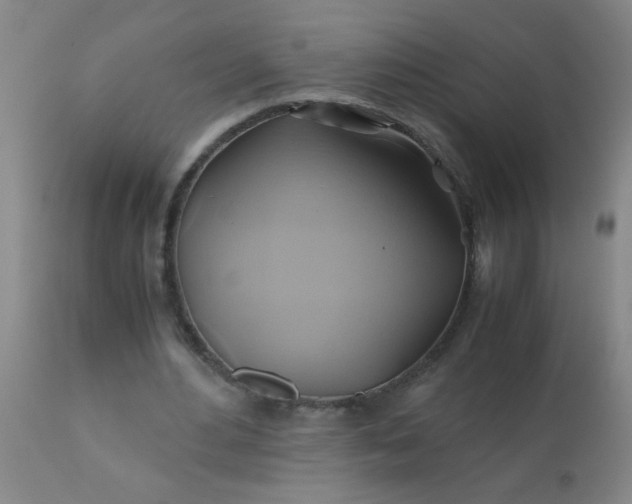 X0000110970484200907022248