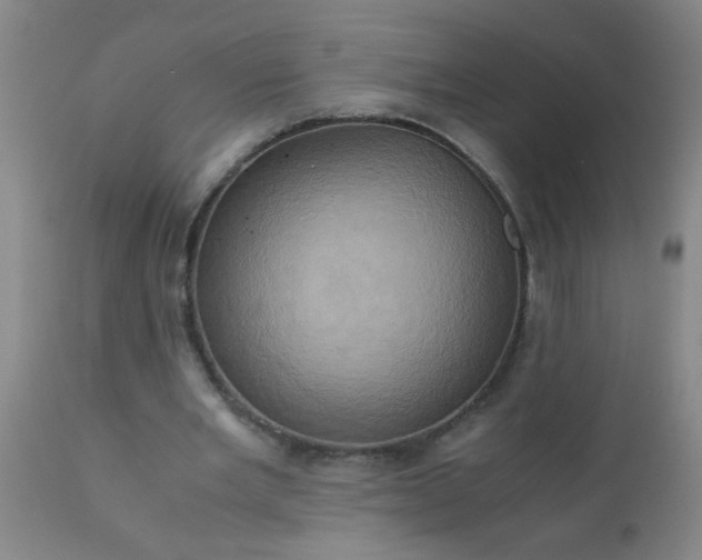 X0000110970485200907022248