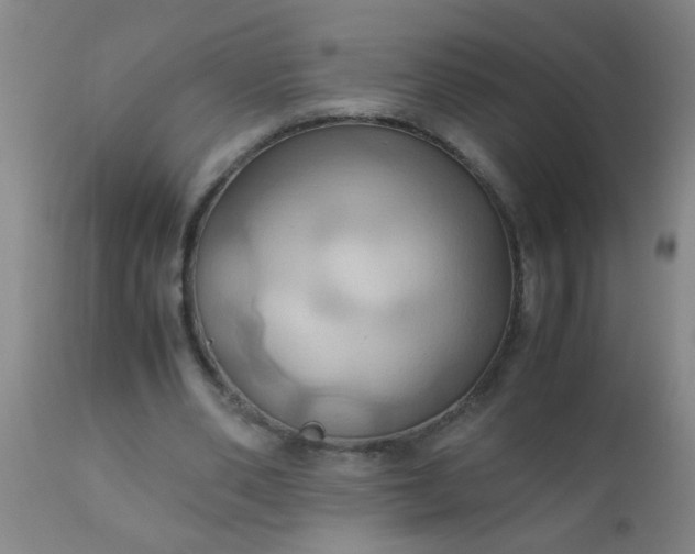 X0000110970486200907022248