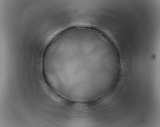 X0000110970487200907022248