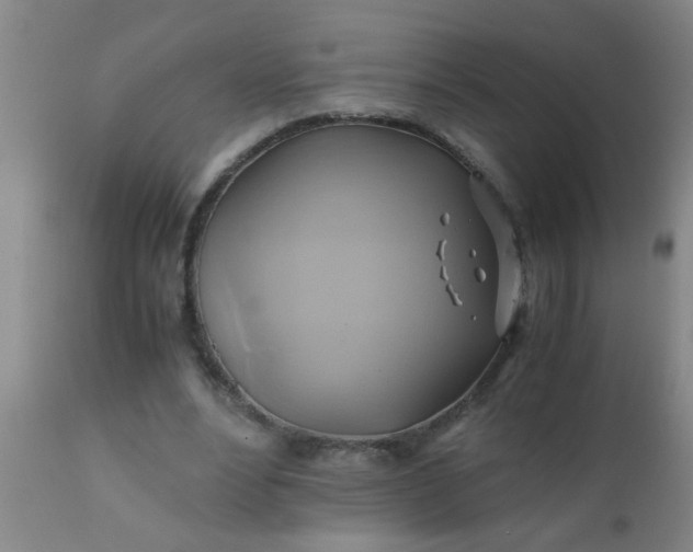 X0000110970488200907022248