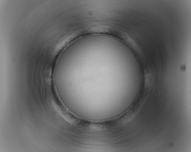 X0000110970490200907022248