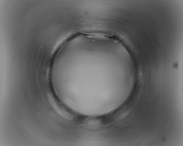 X0000110970491200907022248