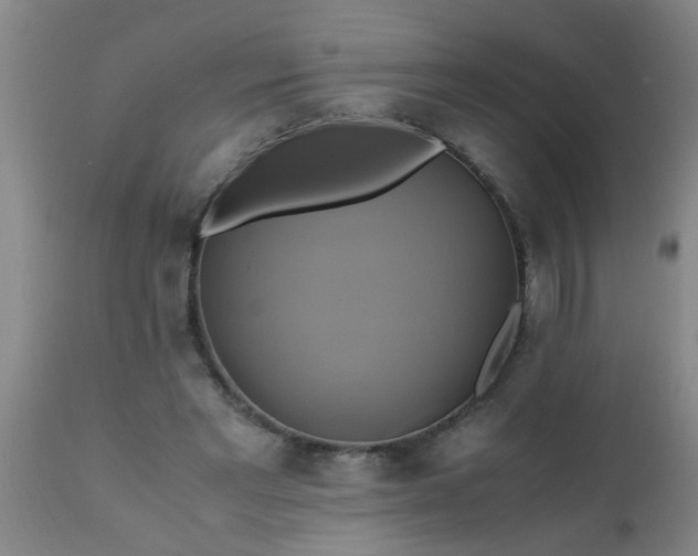 X0000110970493200907022248