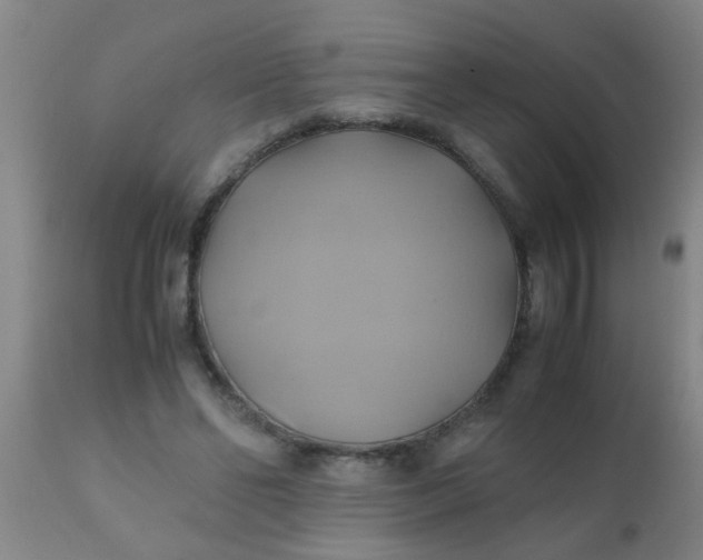 X0000110970494200907022248