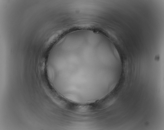 X0000110970495200907022248