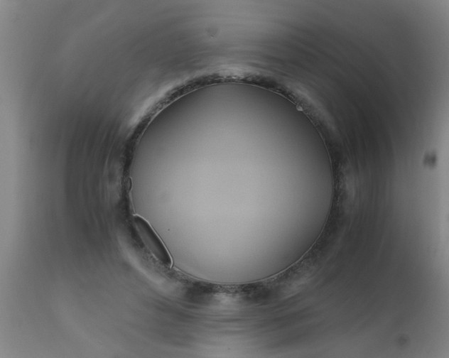 X0000110970496200907022248