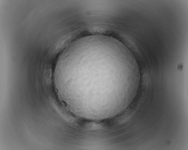 X0000110970498200907022248