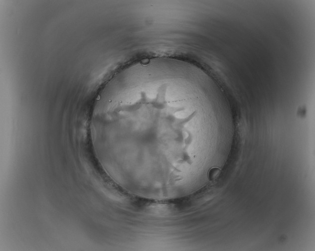 X0000110970499200907022248