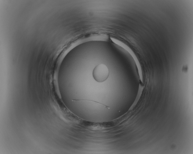 X0000110970500200907022248