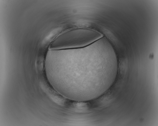 X0000110970501200907022248