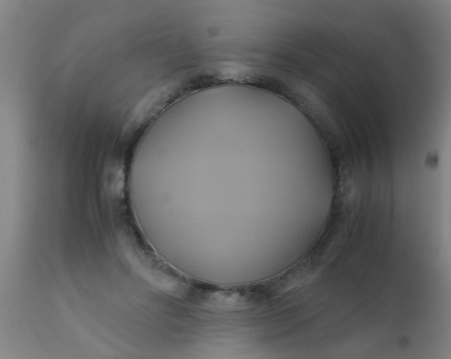 X0000110970502200907022248