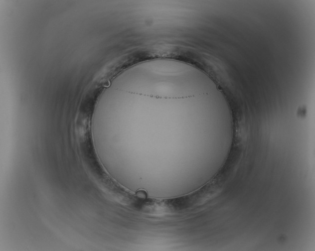 X0000110970503200907022248