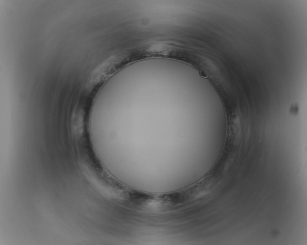 X0000110970504200907022248