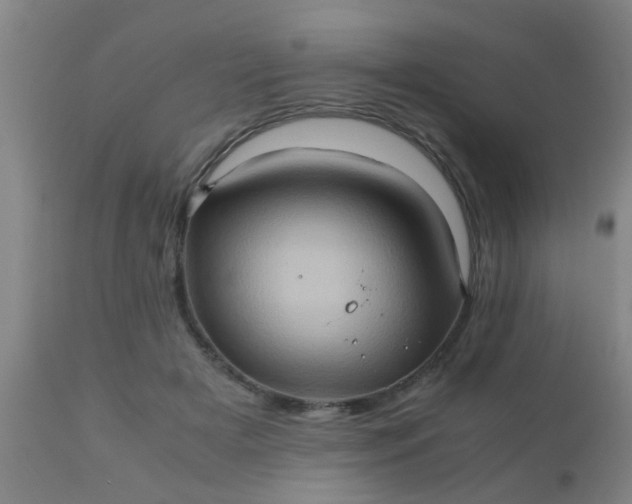 X0000110970505200907022248