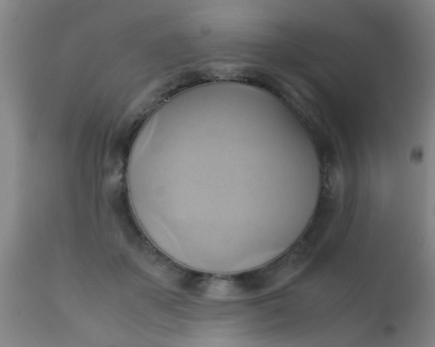 X0000110970507200907022248