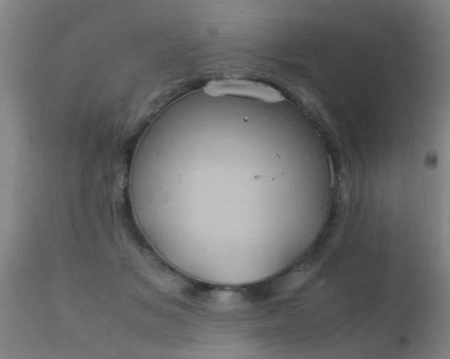 X0000110970509200907022248