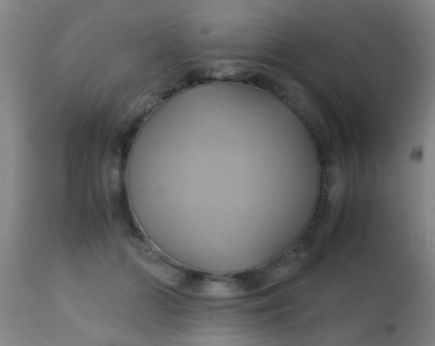 X0000110970510200907022248