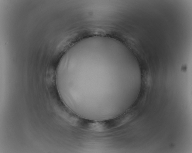 X0000110970511200907022248