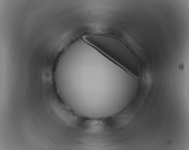 X0000110970512200907022248