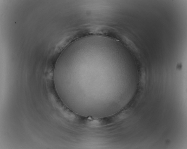 X0000110970513200907022248