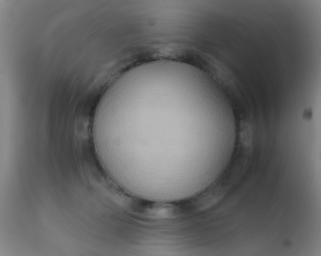 X0000110970514200907022248