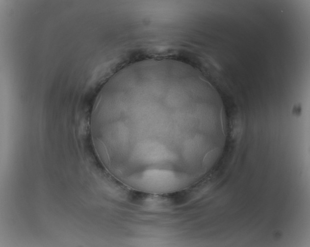 X0000110970515200907022248