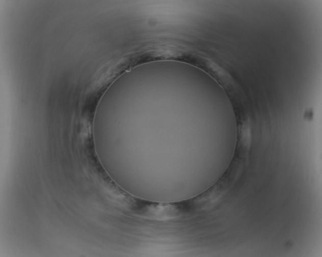 X0000110970517200907022248