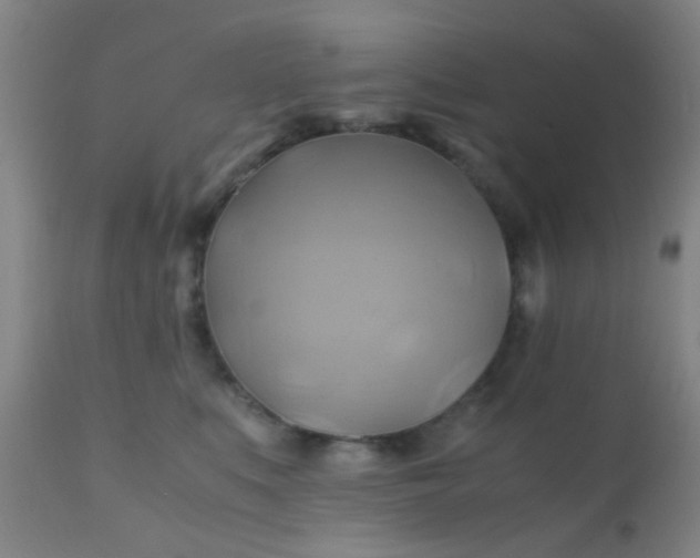 X0000110970519200907022248