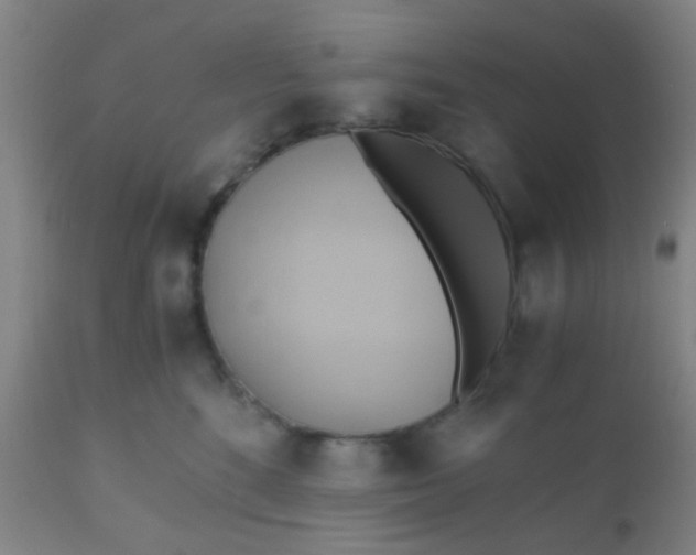 X0000110970520200907022248