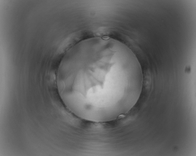 X0000110970523200907022248