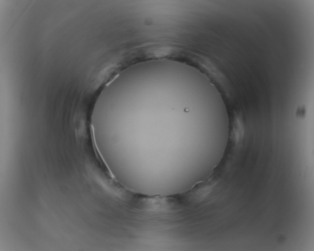 X0000110970524200907022248