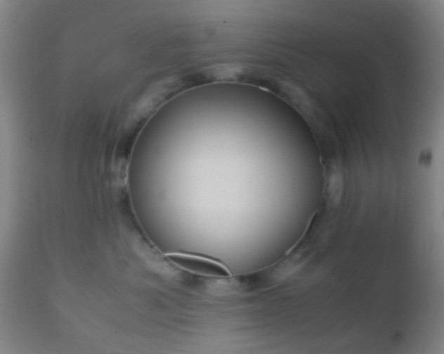 X0000110970525200907022248