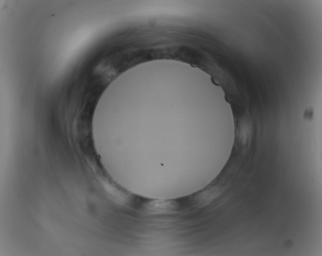 X0000110970526200907022248