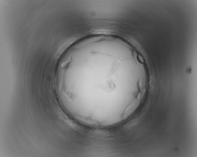 X0000110970529200907022247