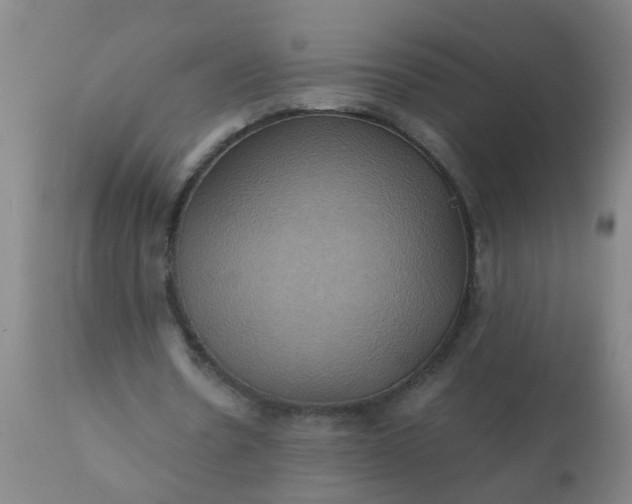 X0000110970530200907022247