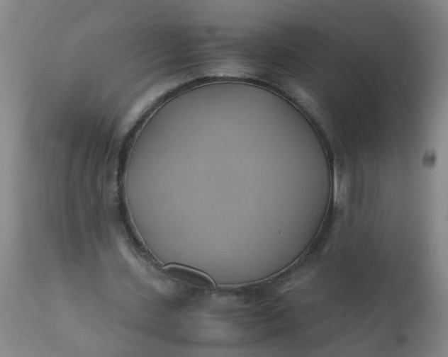 X0000110970531200907022247