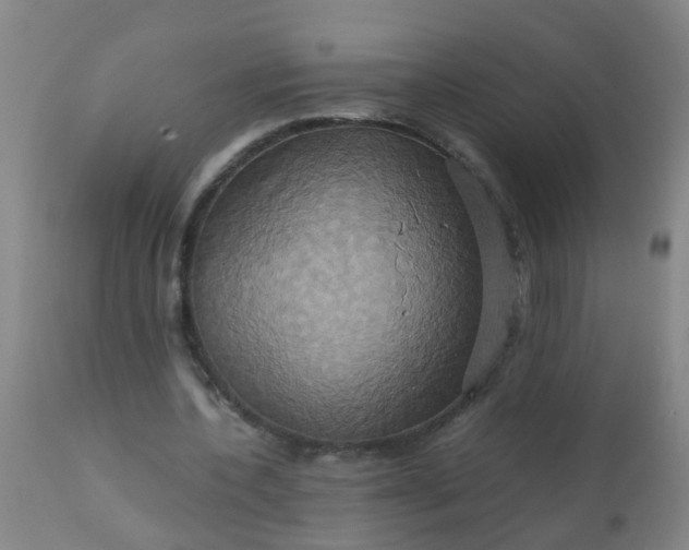 X0000110970532200907022247