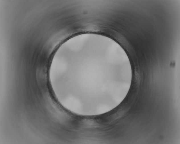 X0000110970534200907022247