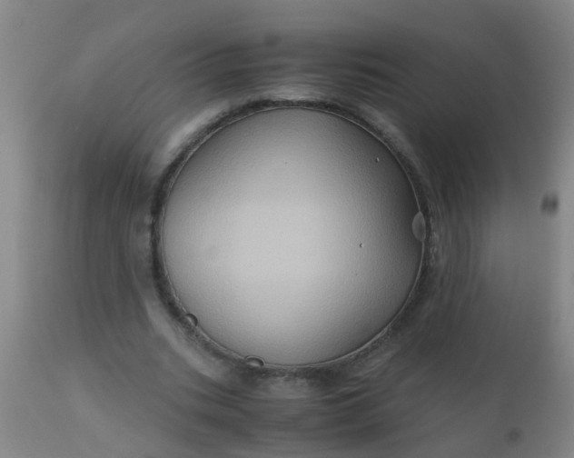 X0000110970535200907022247