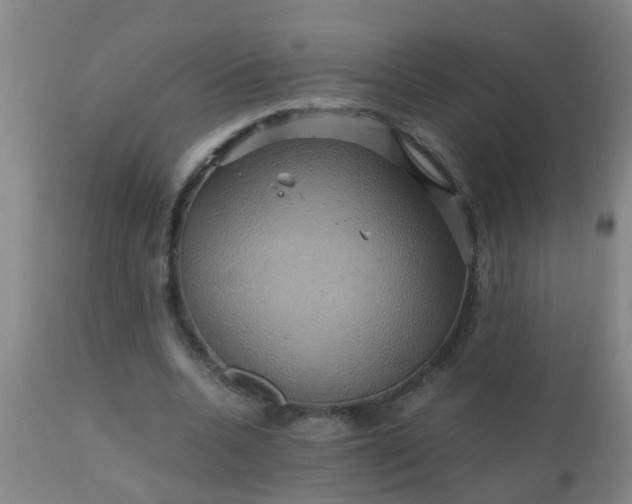 X0000110970536200907022247