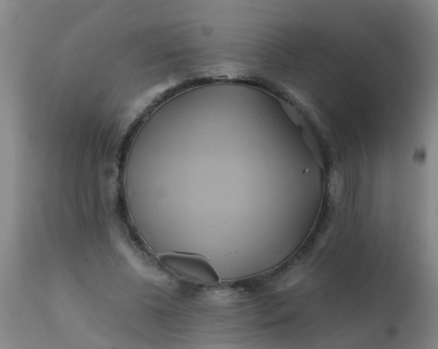 X0000110970540200907022247