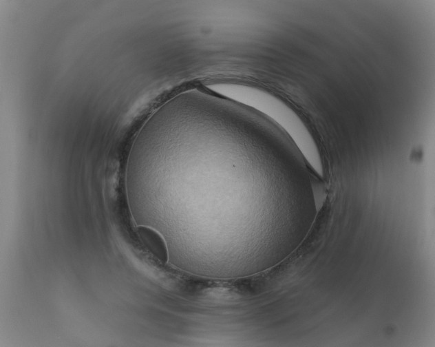 X0000110970544200907022247